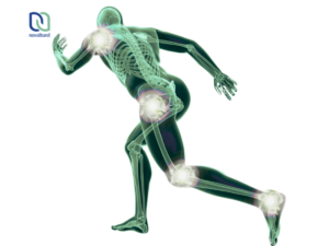 articulations