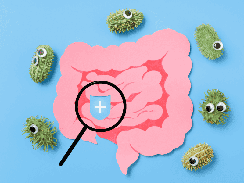 candidose intestinale