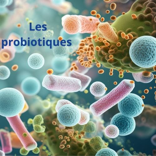 Probiotiques cure en 3 phases : comment bien préparer son intestin