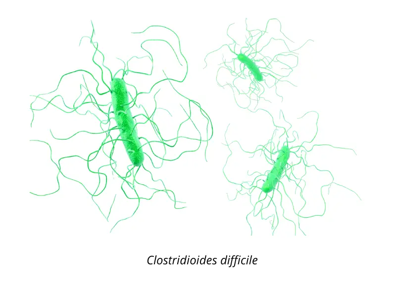 diarrhee antibiotique troubles digestifs novaltransit normal probiotiques novalturel