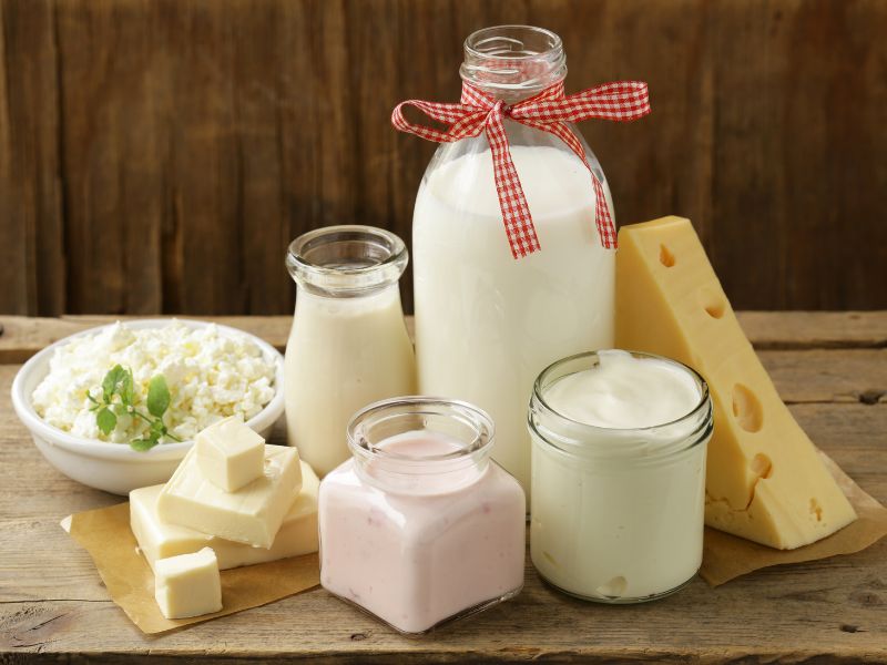 Quelle est la différence entre la caséine et le lactose ?