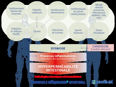 Dysbiose Intestinale - Traitement Naturel - NOVALTUREL