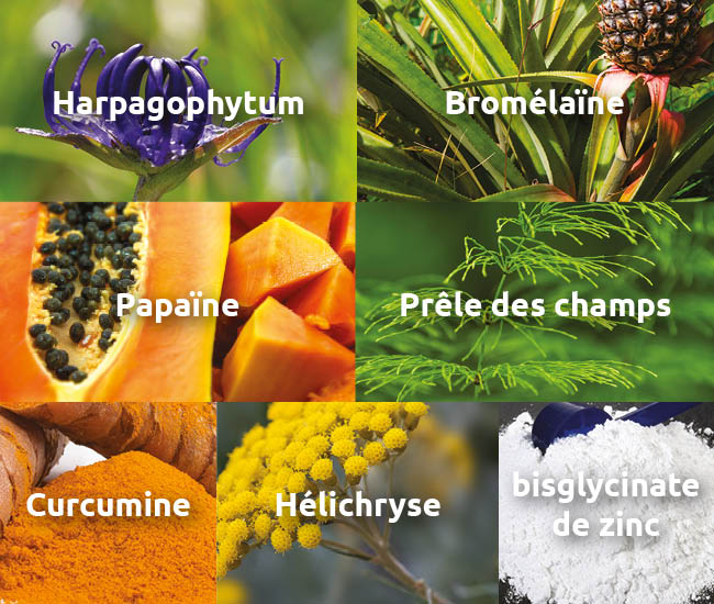 novalcica-accelerateur-cicatrisation-harpagophytum-bromelaine-curcumine-papaïne-helichryse-novalturel