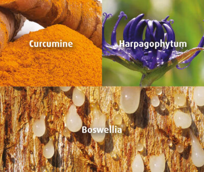novalfen-antalgique-anti-inflammatoire-naturel-harpagophytum-curcumine-boswellia-novalturel novalflen-antalgique-anti-inflammatoire-naturel-harpagophytum-curcumine-boswellia-novalturel