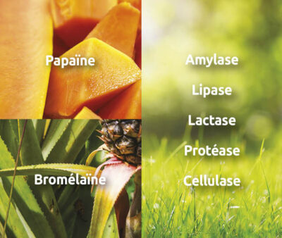 novalflam-digestion-confort-intestinal-papaine-novalturel novalflam