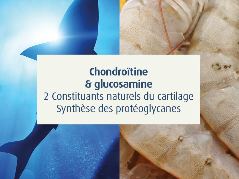 novalflex-compléments alimentaires articulations sportifs - novalturel - chodroïtine-glucosamine