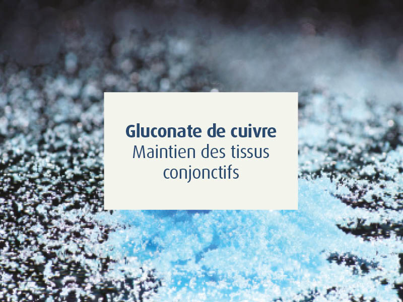 novalflex-compléments alimentaires articulations sportifs - novalturel - gluconate de cuivre