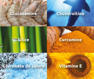 novalflex-confort-articulaire-mobilite-souplesse-glucosamine-chondroitine-silice-curcumine-vitamine-e-novalturel