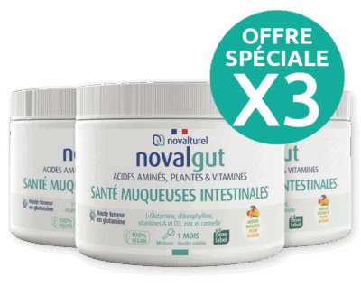 novalgut-cicatrisant-intestinal-naturel-permeabilite-glutamine-intestin-pack de 3