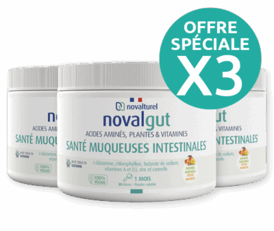 novalgut-cicatrisant-intestinal-naturel-permeabilite-glutamine-intestin-3-1 novalgut-cicatrisant-intestinal-naturel-permeabilite-glutamine-intestin-pack de 3