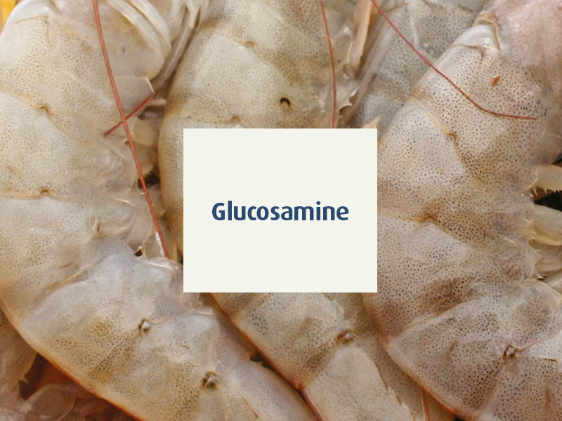 novalosteo-compléments alimentaires articulations séniors - glucosamine - novalturel