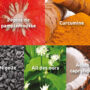 novalpur-purifier-intestin-pepin-pamplemousse-nigel-curcumine-ail-ours-acide-caprylique-novalturel novalpur-purifier-intestin-pepin-pamplemousse-curcumine-nigel-ail-ours-acide-caprylique-novalturel