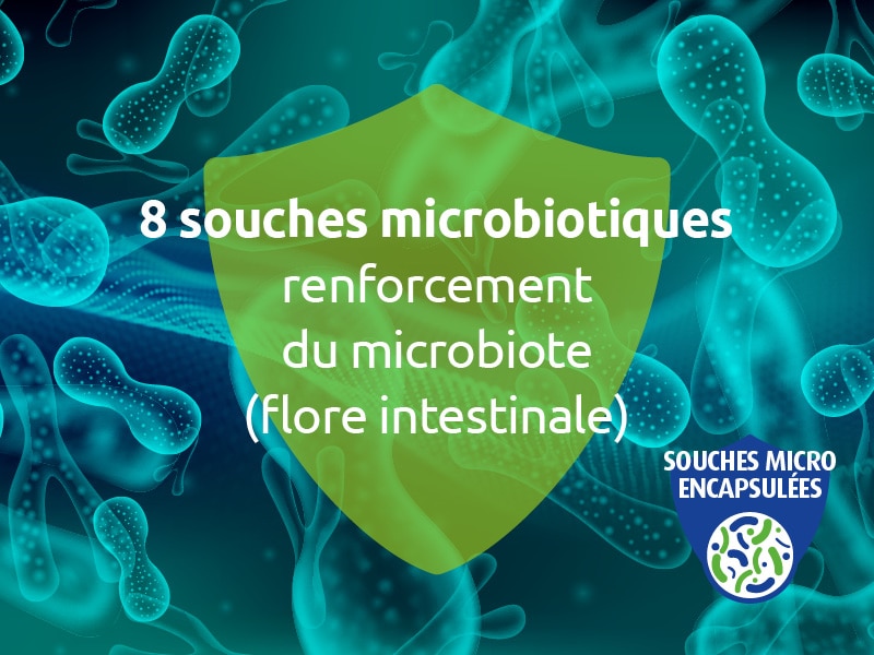 NOVALBIOTE Microbiotique Probiotique 8 Souches 10 Mds D'UFC