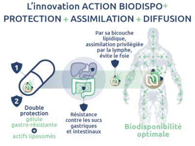 novaltera-principe-actif-liposome-biodispo+