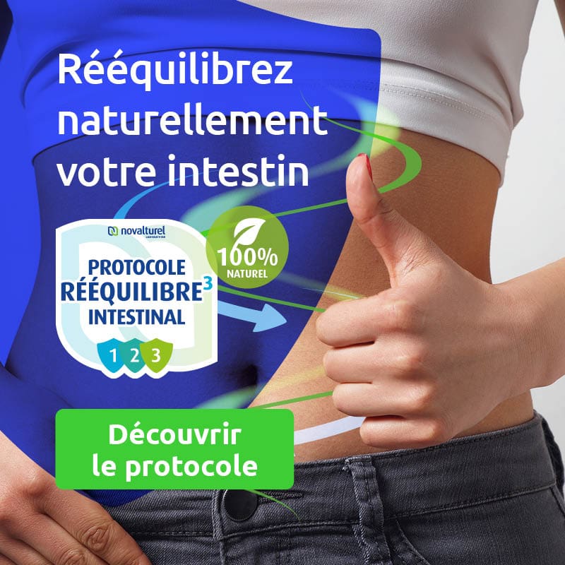 troubles intestinaux perméabilité intestinale cure probiotiques digestif