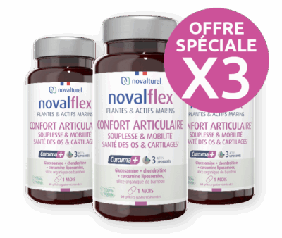 novalflex