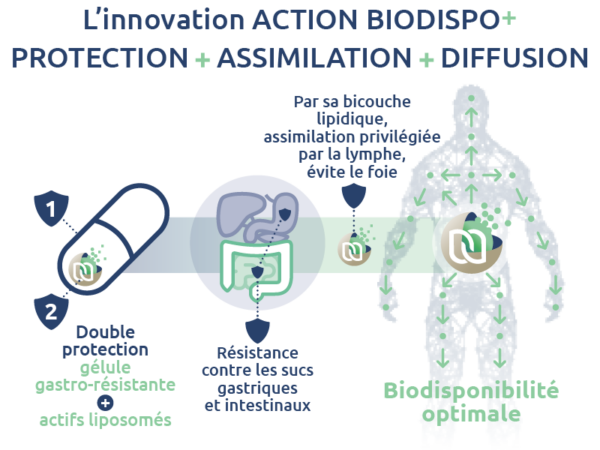 biodisponibilite-principe-actif-curcuma-novaltera-action-biodispo+-glucosamine-chondroitine-6
