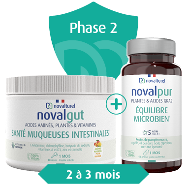 novalturel-protocole-reequilibre-intestinal-phase-2