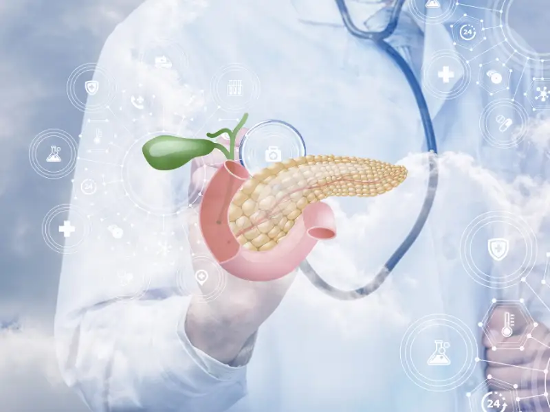 pancreas-Enzymes-digestives-role-types-solutions-Novalturel pancreas - Enzymes digestives - rôle-types-solutions - novalflam- Novalturel