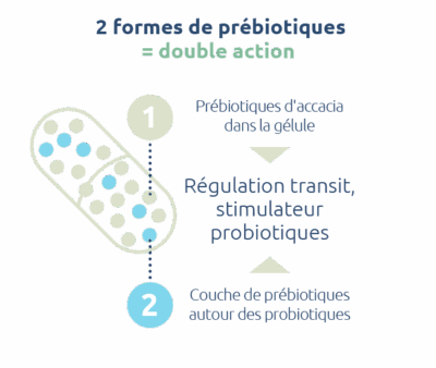 prebiotiques-double-actions-regulateur-transit-stimulateur-probiotiques-novalturel prebiotiques-double-actions-regulateur-transit-stimulateur-probiotiques-novalturel