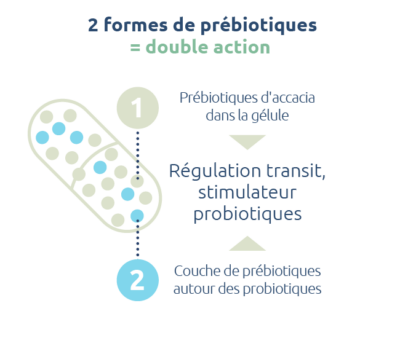 prebiotiques-double-actions-regulateur-transit-stimulateur-probiotiques-novalturel