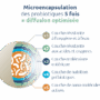 probiotiques-microencapsulation-5-fois-diffusion-optimale-novalturel probiotiques-microencapsulation-5-fois-diffusion-optimale-novalturel-Bifidobacterium longum