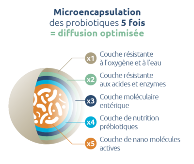 probiotiques-microencapsulation-5-fois-diffusion-optimale-novalturel