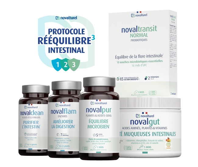 protocole-reequilbre-intestinal-3-phases-novalturel