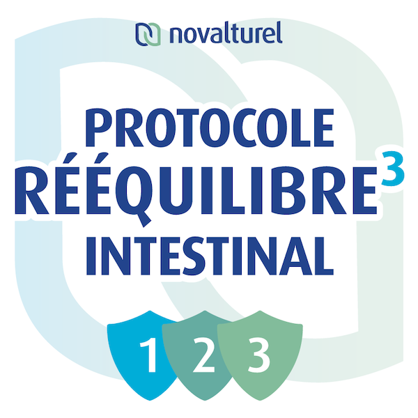trouble intestinal troubles digestifs intestinaux protocole rééquilibre intestinal-permeabilite-microbiote
