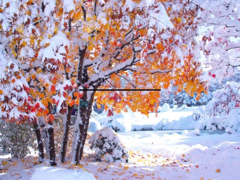 quand-faire-cure-magnésium-automne-hiver-novalmag-novalturel (1)