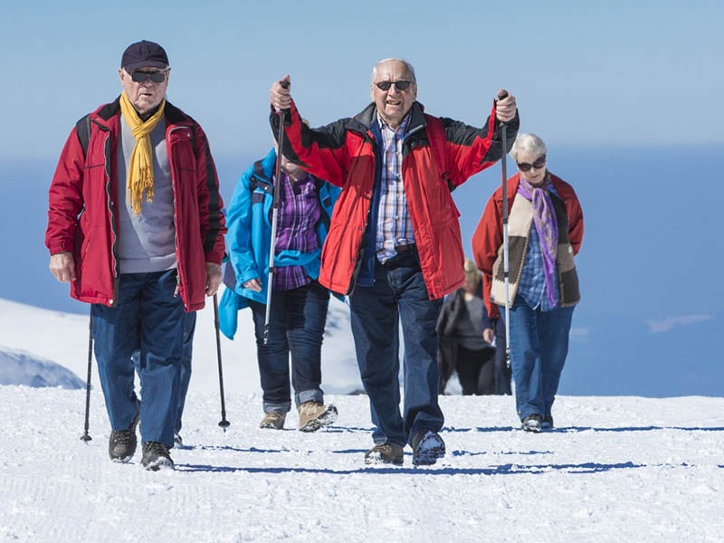schisandra anti-fatigue forme vitalité novalform novaltera
