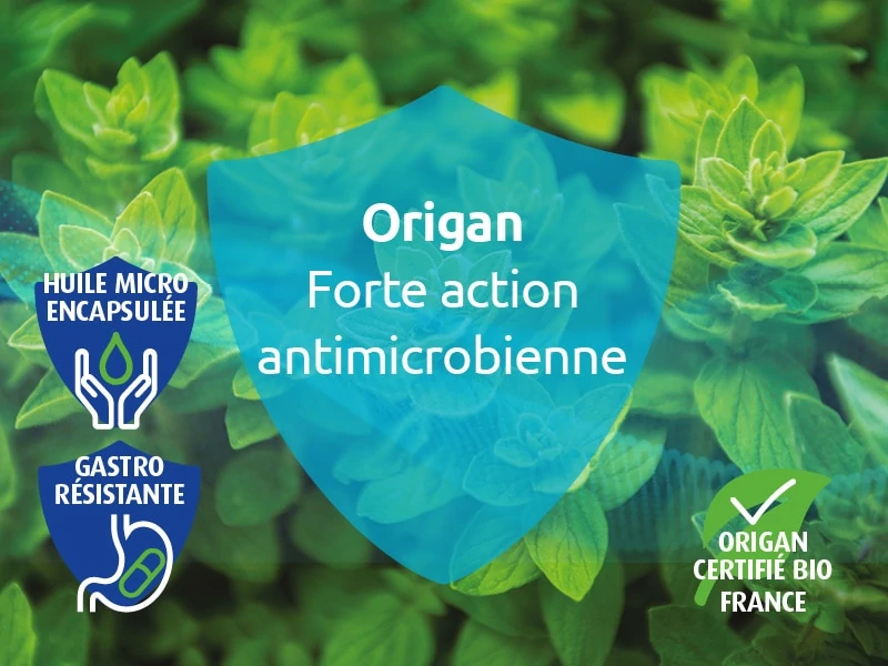 huile-essentielle-origan-bio-origine-france-novalclean